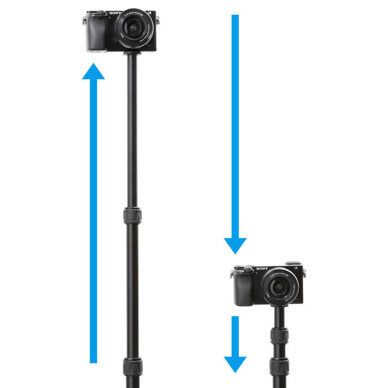 �٥�ܥ󡡰�ӥݡ��� (3��/�����)��MPP80