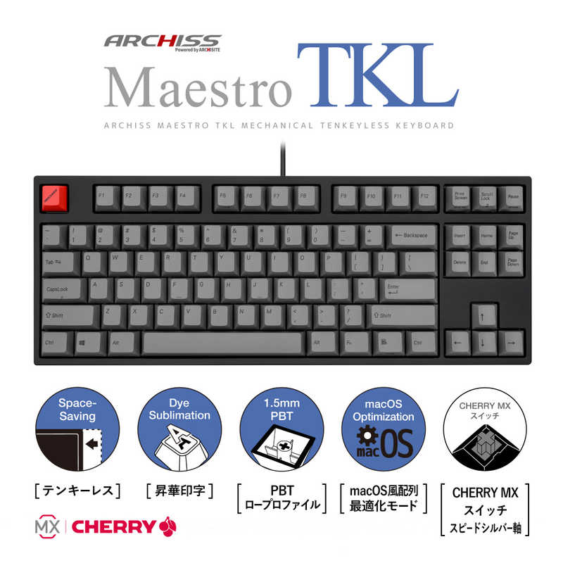 ARCHISS アーキス Maestro TKL(CHERRY MX スピードシルバー軸 Windows11 macOS対応) メカニカル テンキーレス 英語配列 87キー 有線 USB ASKBM87LSGB