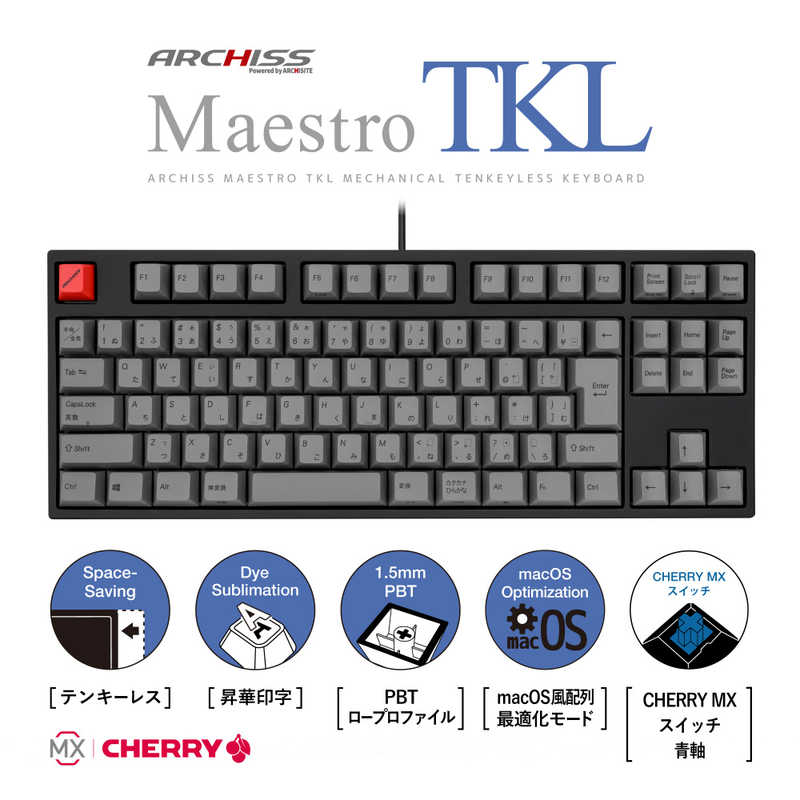 ARCHISS アーキス　Maestro TKL(CHERRY MX 青軸・Windows11 macOS対応) メカニカル テンキーレス 日本語JIS配列 91キー [有線 USB]　ASKBM91CGBA 1