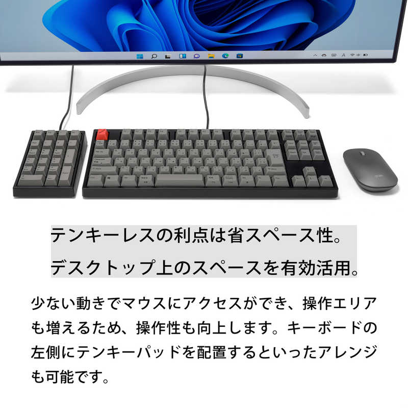 ARCHISS アーキス　Maestro TKL(CHERRY MX 青軸・Windows11 macOS対応) メカニカル テンキーレス 日本語JIS配列 91キー [有線 USB]　ASKBM91CGBA 2