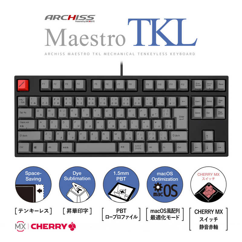 ARCHISS アーキス Maestro TKL(CHERRY MX 静音赤軸 Windows11 macOS対応) メカニカル テンキーレス 日本語JIS配列 91キー 有線 USB ASKBM91SRGBA