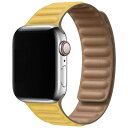 アイキューラボ AppleWatch 44mm 42mm用 マグネットホールドバンド イエロー IQAWLMG44YE(2)