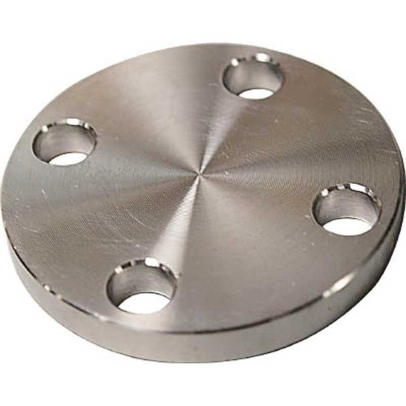 フローバル　SUS304 10K 閉止フランジ 14100576　SUS10KBLFF65A