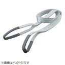 トラスコ中山 ベルトスリング JIS1等級 化学薬品用 50mmX2.5m TG5025C