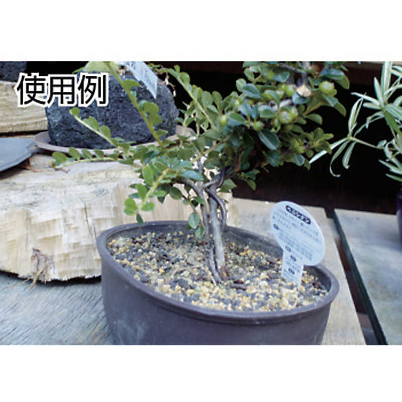 �ȥ饹���滳��������� �֥��󥺥����� 4mm��TAW40BZ