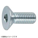 トラスコ中山 六角穴付皿ボルト三価 白 サイズM6×25 17本入 B7730625
