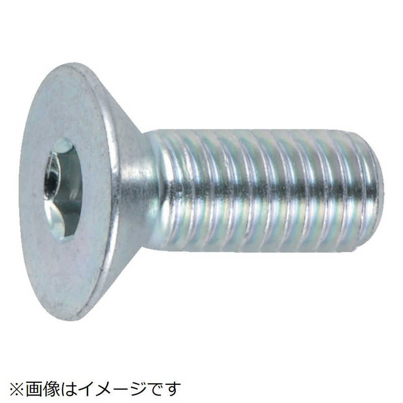 トラスコ中山　六角穴付皿ボルト三価 白 サイズM4×20 21本入　B7730420