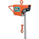 スリーエッチ 電気ホイスト 100kg 揚程10m ZS100