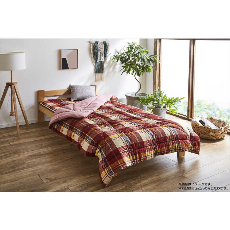 イケヒコ　防ダニ掛布団 ソフィア セミダブルサイズ(170×210cm/レッド)