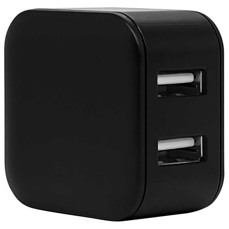 ラスタバナナ AC充電器 USB A*2ポート 2.4A BK ブラック RAC2A2A03BK