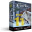 市川ソフトラボラトリー　SILKYPIX Developer Studio Pro11 パッケージ版　DSP11H