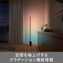 フィリップス　PHILIPS　Philips Hue Signe フロアライト　PLH25Fl 3