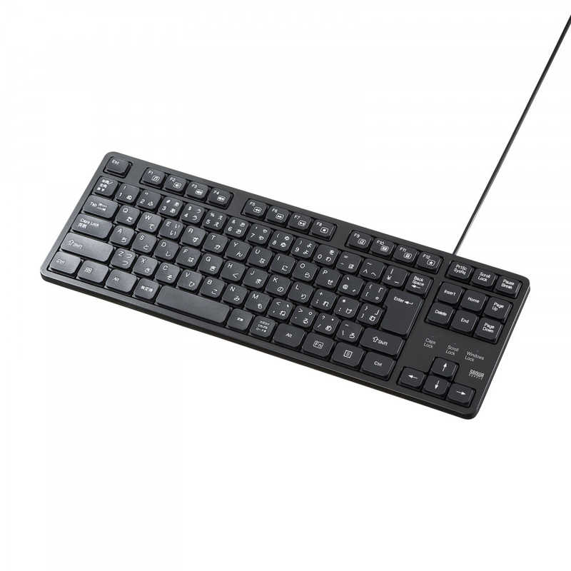 サンワサプライ キーボード 92キー(Windows11対応) ［有線 /USB］ ブラック SKB-SL38BK