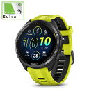 GARMIN@Forerunner 965 Amp Yellow(SuicaΉ)@0100280962