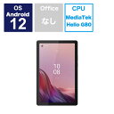 レノボジャパン Lenovo Androidタブレット Tab M9 アークティックグレー ZAC30178JP