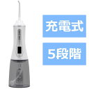 ドリテック 口腔洗浄器 ジェットクリーン FS-100WT
