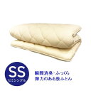 生毛工房 瞬間消臭・デオマックス敷ふとん セミシングルサイズ (85×210cm) キナリ