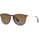 レイバン　Ray-Ban サングラス ERIKA RB4171 6593T5 54mm トランスペアレントDBR/ブラウングラディエント偏光　RB4171_6593T554