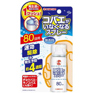 大日本除虫菊　コバエがいなくなるスプレー 80回用 無香料 (20ml)