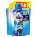 P＆G　Lenor レノア煮沸レベル消臭抗菌ビーズ つめかえ用 特大 970mL スポーツ クールリフレッシュ＆シトラスの香り