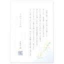 エヌビー社 伝える気持ち B5便箋 お悔やみ 5300208