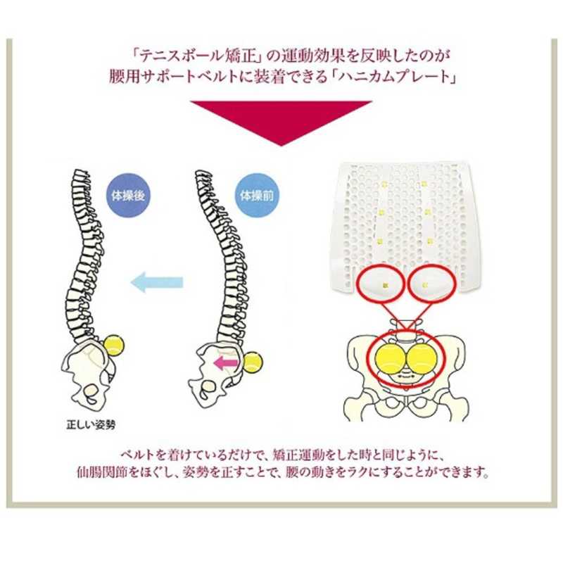 コジマ楽天市場店のヴァルテックス　腰用サポートベルト-S酒井慎太郎監修｜アングル2