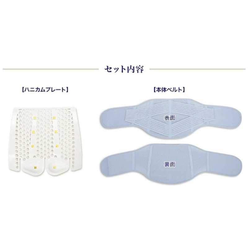 コジマ楽天市場店のヴァルテックス　腰用サポートベルト-S酒井慎太郎監修｜アングル3