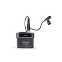 TASCAM 32bit Float録音 フィールドレコーダー DR-10LPro