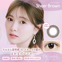 Pia (度あり/-7.50) フェリアモ ワンデー シアーブラウン (BC8.6) 10枚入 カラコン(4)