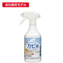ピュアソン そうじ屋いらず カビ用ホイップスプレー 400ml