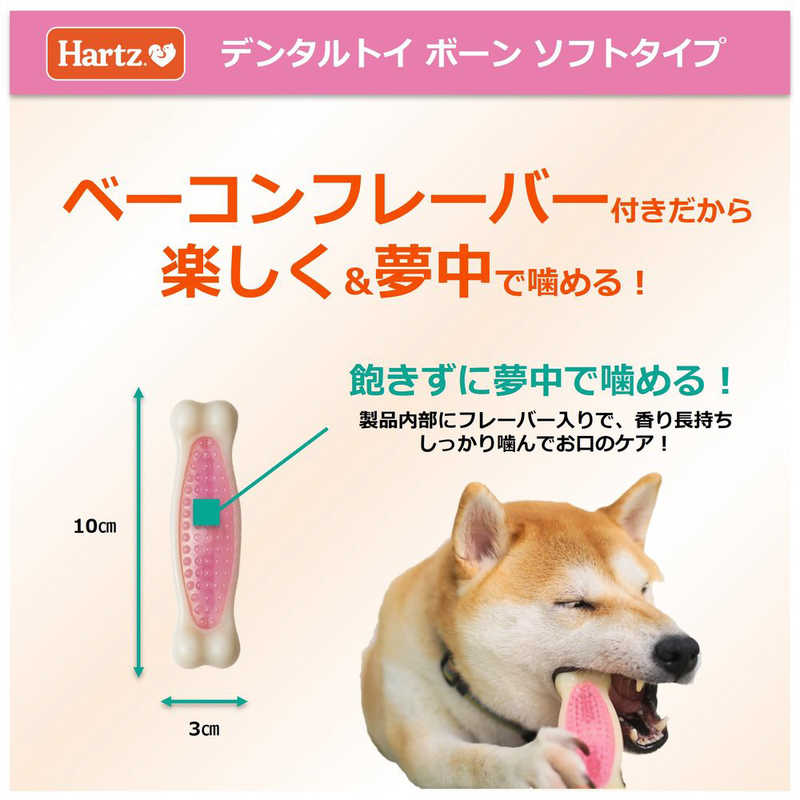サンプル画像3