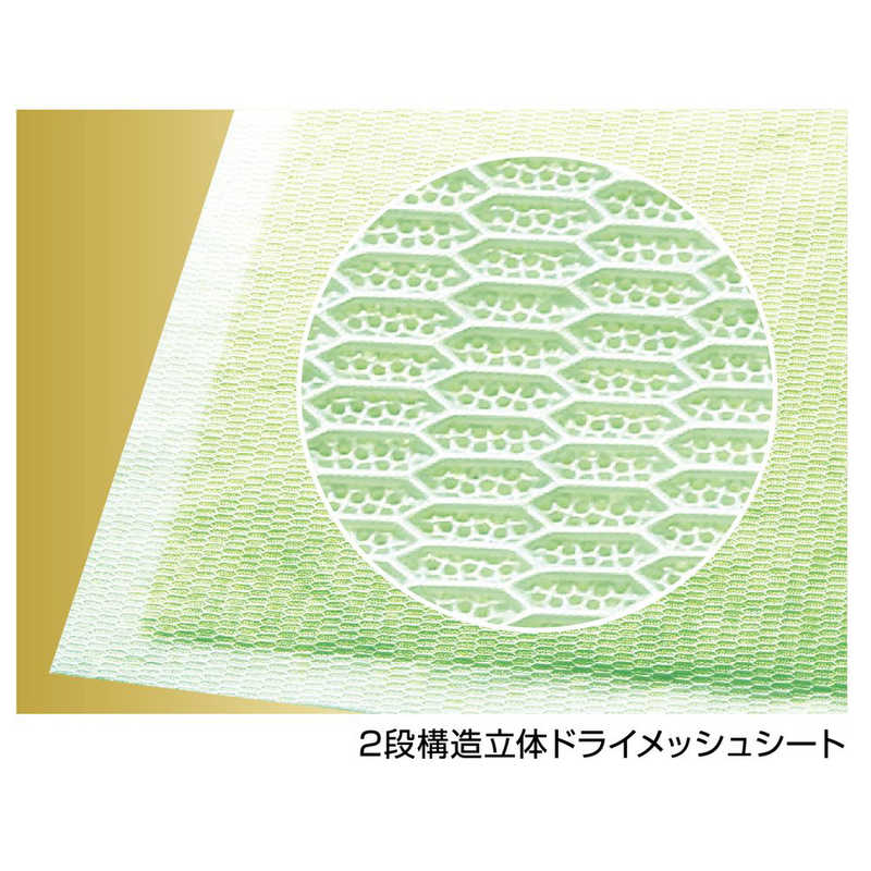 ライオンペット　瞬乾ペットシート Salari(サラリ) レギュラー50枚