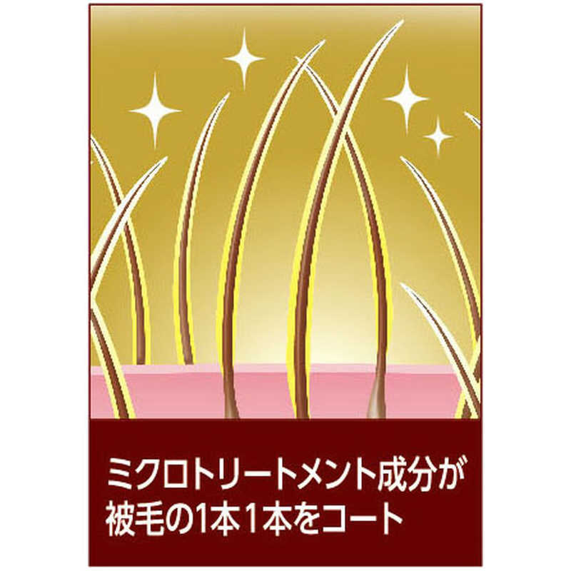 サンプル画像2