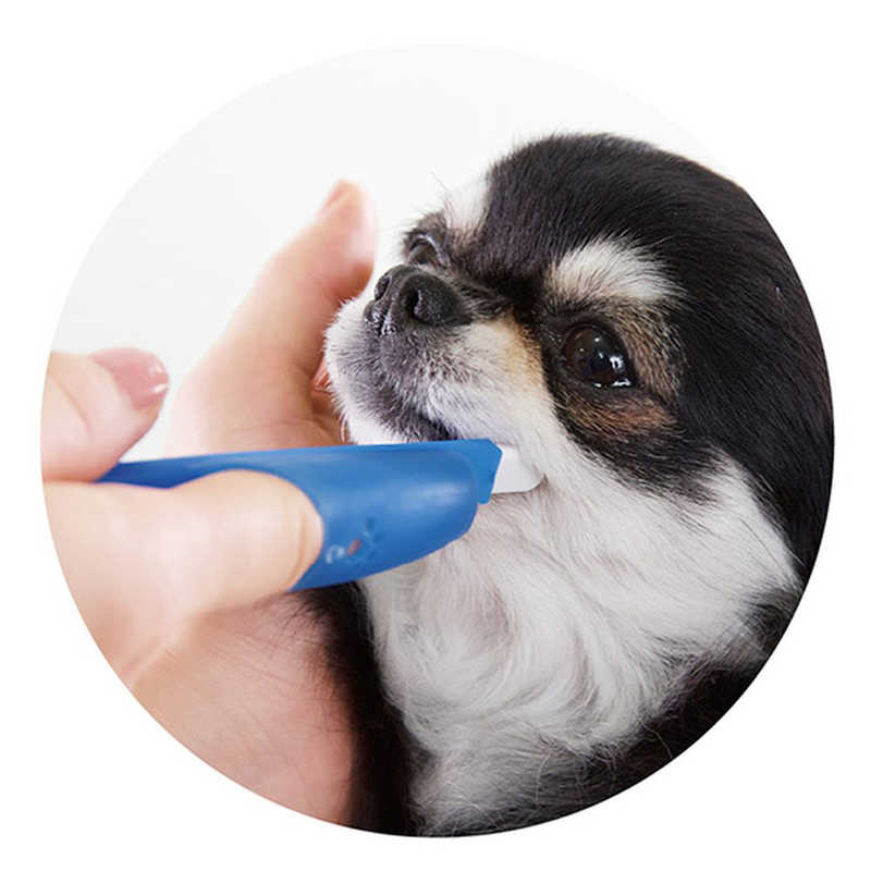 ライオンペット　PETKISS指サック歯ブラシコンパクト1本