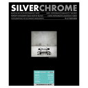 中外写真薬品　SILVERCHROME FLEXGRADE RC Matt シルバークローム フレックスグレード 8x10インチ 25枚入［六切 /25枚 /無光沢］　433513