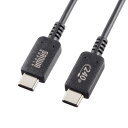 サンワサプライ USB2.0 Type-C PD240W対応 ケーブル KU-CCPE20(2)