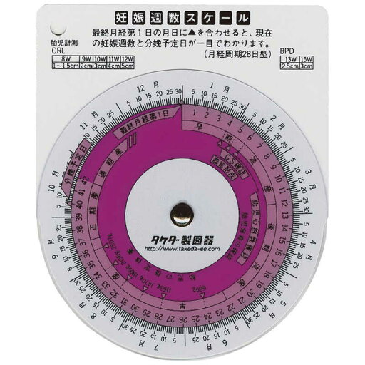 タケダ 妊娠週数スケ-ル 25-3035 タケダ 妊娠週数スケ-ル 25-3035