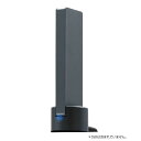 ITPROTECH スタンドタイプ SSDケース USB-C+USB-...(2)