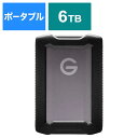 SANDISKPROFESSIONAL 外付けHDD G-DRIVE ...(2)