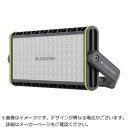 レッドレンザー AF12R Work 502913
