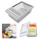 東芝 TOSHIBA 使い切り野菜BOX 【あまった野菜をそのままいれるだけ】(サイズ:254×164×92mm) GR-FVB1