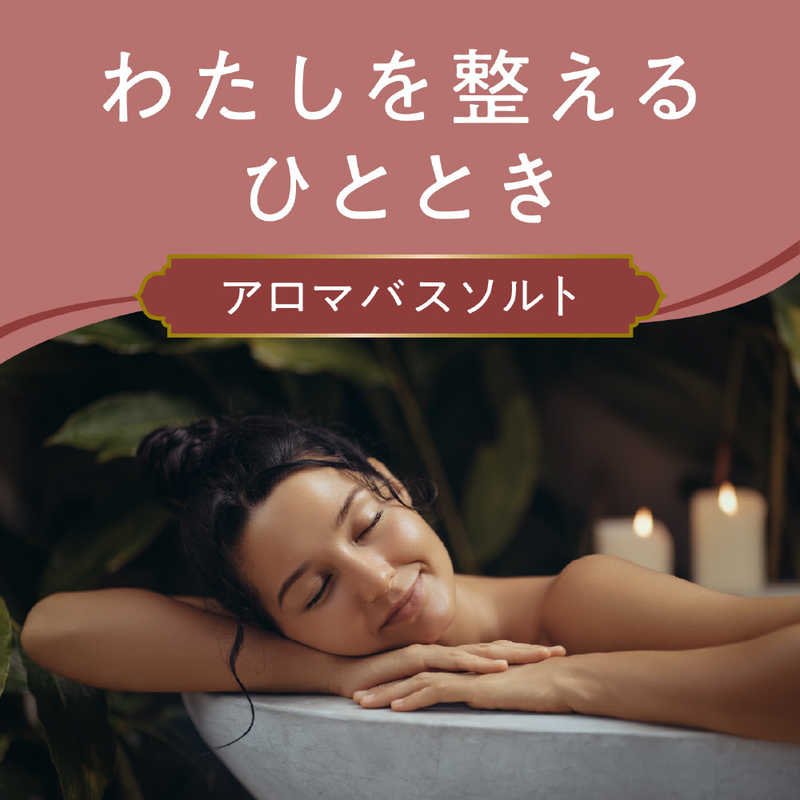 アース製薬　アーユルタイム バランスデイ ボトル 520g