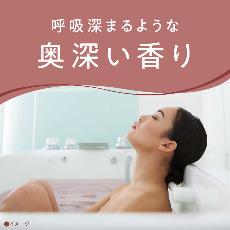 アース製薬　アーユルタイム バランスデイ ボトル 520g