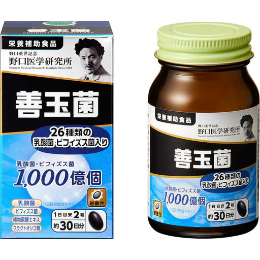 野口医学研究所 善玉菌 60粒(約30日分)【栄養補助食品】 野口医学研究所 善玉菌 60粒(約30日分)【栄養補助食品】