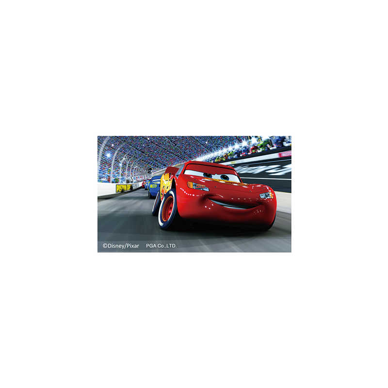 PGA�����ͥޥ��쥯����� ���ƥå��� Premium Style ��������PG-DSTK67CAR