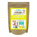 スパッチオ ジュニア用プロテイン NOBITA ソイプロテインノビタ(はちみつレモン味/600g)FD-0002 はちみつレモン味 FD0002009