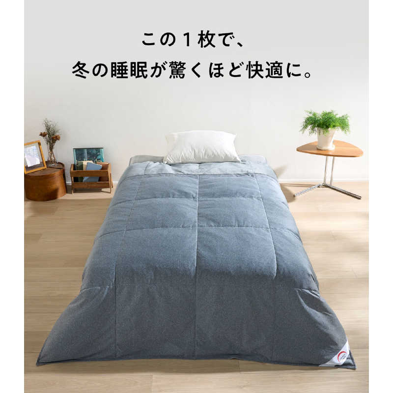 コジマ楽天市場店のモリリン　コスモダウン掛けふとん プラチナシルバー ［セミダブル(170×210cm)］　DR_MR_CDKSD_SV｜アングル2