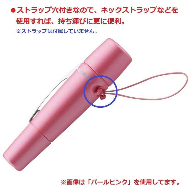 シヤチハタ　ペアネーム (メールオーダー式) ブルー　XL−W4／MO