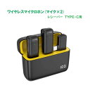 ROYALMONSTER RM ワイヤレスマイクロホン・TYPE-C(マイク×2) RM-2908MIC2-C