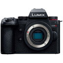 パナソニック Panasonic ミラーレス一眼カメラ DC-G9M2